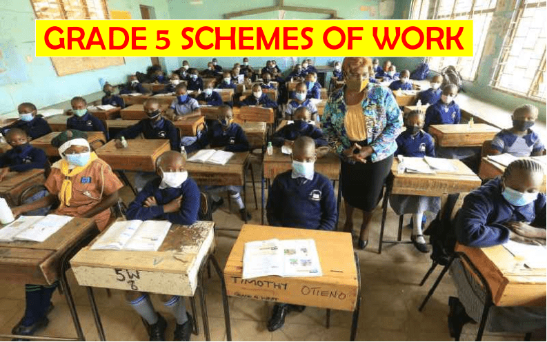 Term 1: Grade 5 Expressive Arts Schemes of Work