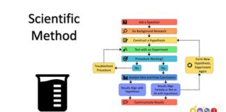2025 Biology Form 1 Quiz: The Scientific Inquiry Method