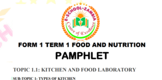DOWNLOAD FORM 1 TERM 1 FOOD AND NUTRITION PAMPHLET – 2025