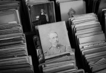 Space Chimp Posing After a Mission To Space