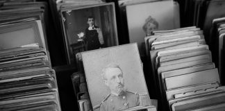 Space Chimp Posing After a Mission To Space