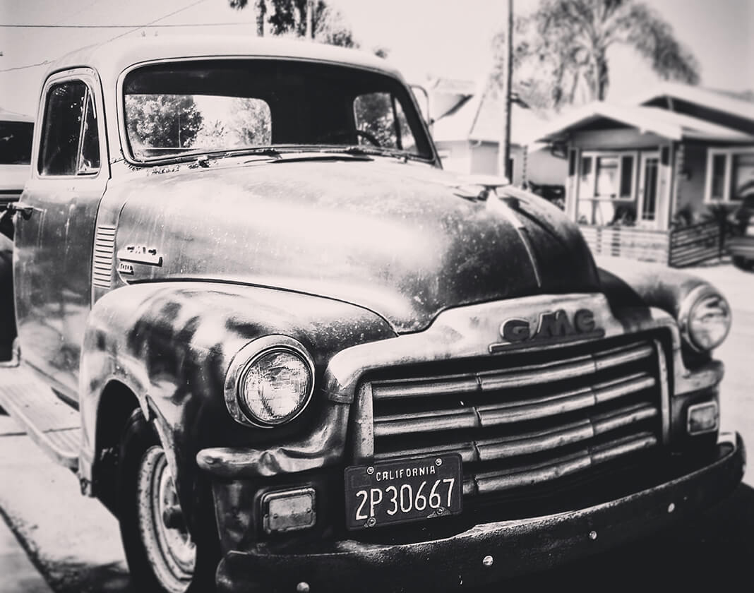 Animals being used as part of medical therapy